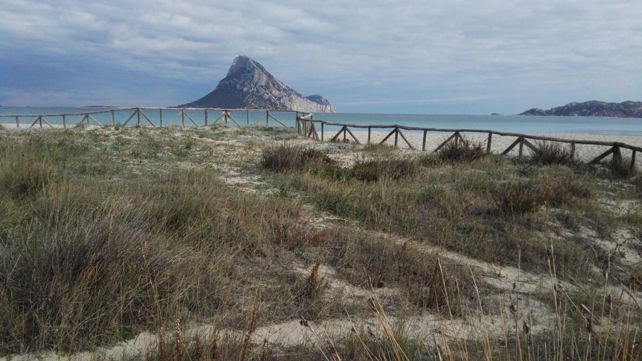 Appartamenti Sardegna Порто-Сан-Паоло Екстер'єр фото